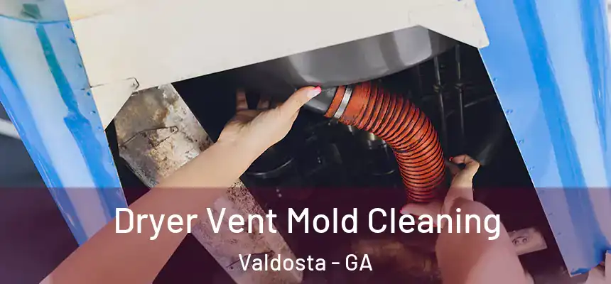  Dryer Vent Mold Cleaning Valdosta - GA