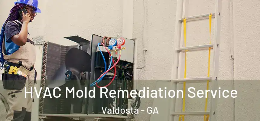  HVAC Mold Remediation Service Valdosta - GA