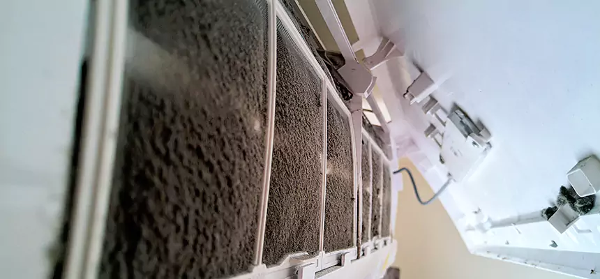 Preventive Air Duct Bacteria Removal in Valdosta