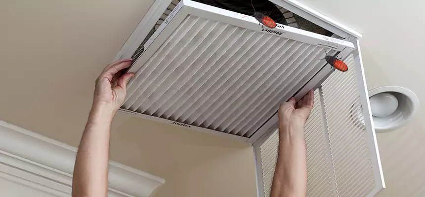Preventive Cockroach-Proofing for Ducts in Valdosta