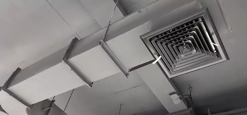 Restorative Allergy Relief Vent Cleaning – Coil, Blower & Housing Detail in Valdosta