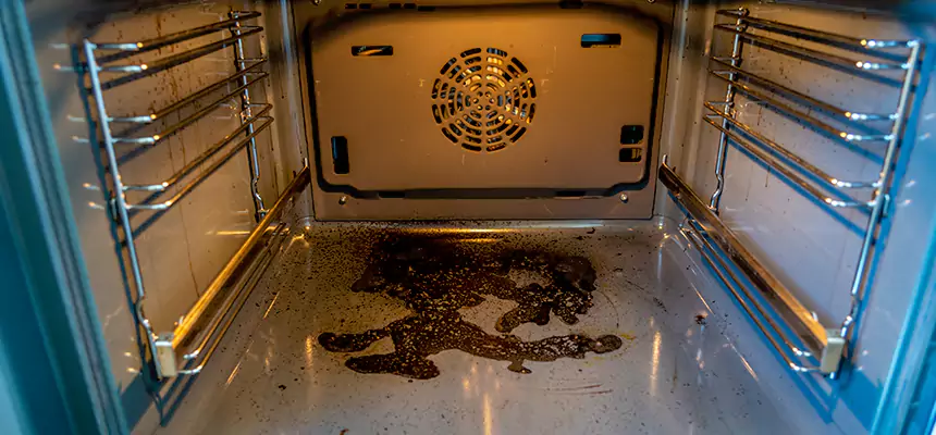 Our Dryer Vent Mold Cleaning Services in Valdosta, GA