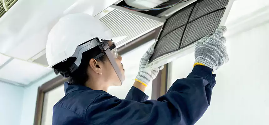 Our Mold & Mildew Removal from Air Ducts Services in Valdosta, GA