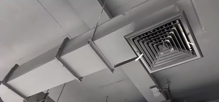 Our Pest Removal From Ducts Services in Valdosta, GA