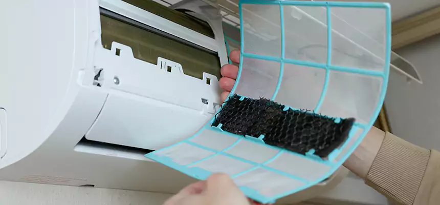 Gentle Ductwork Odor-Control Pet Dander Duct Cleaning in Valdosta, GA