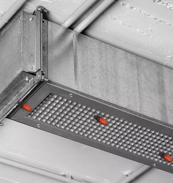 About Air Duct Cockroach Removal in Valdosta, GA