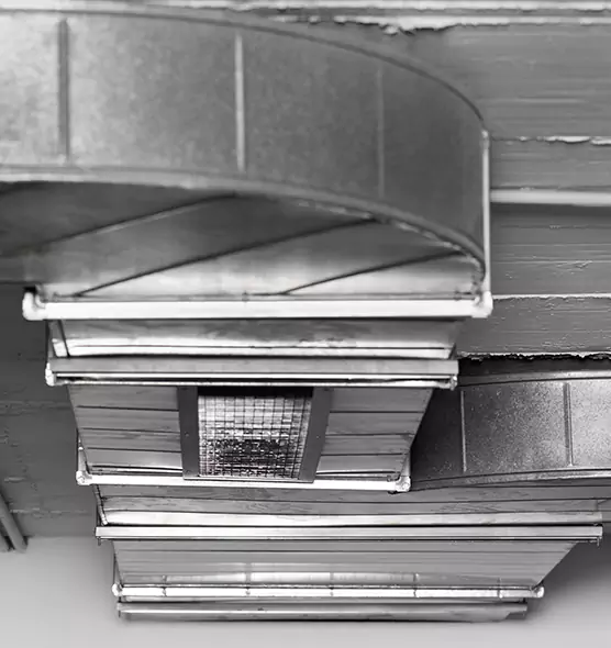 Professional Air Duct Pest Removal in Valdosta, GA