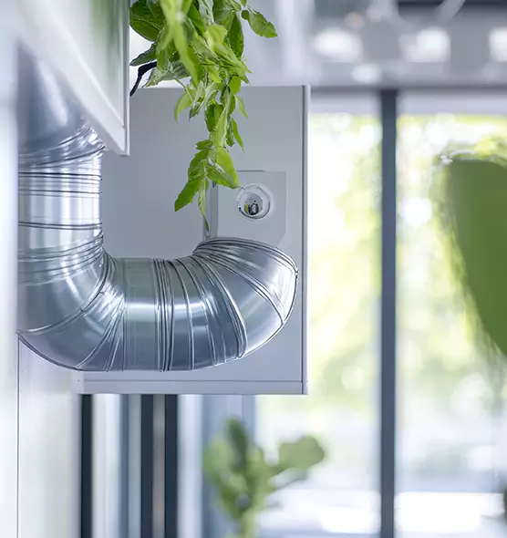 Professional Eco-Safe Dryer Vent Cleaning in Valdosta, GA