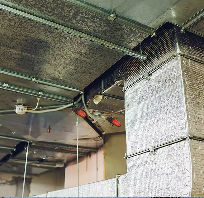 Why Homeowners & Businesses Trust Us in Valdosta, GA?