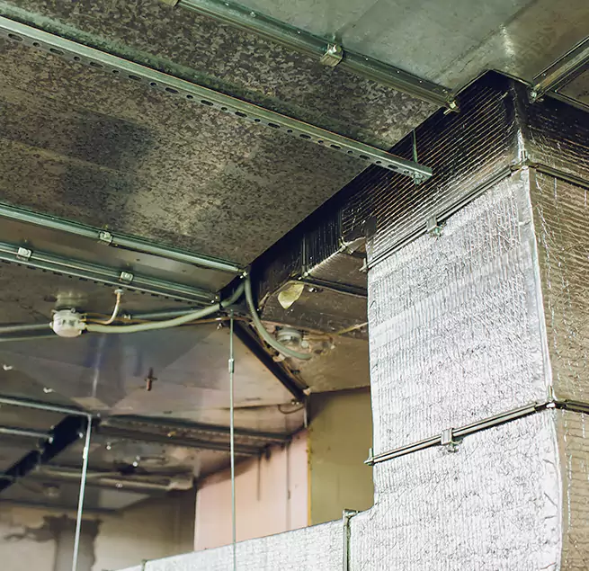 Why Homeowners & Businesses Trust Us in Valdosta, GA?