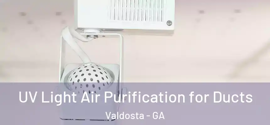  UV Light Air Purification for Ducts Valdosta - GA